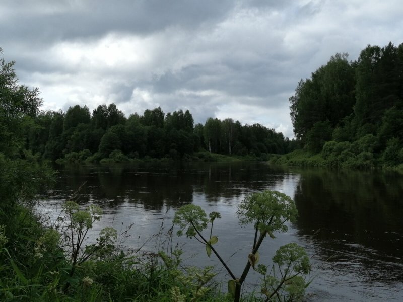 Река ВИГА Костромская область