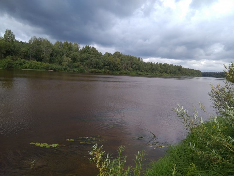 Река Покша Костромская область