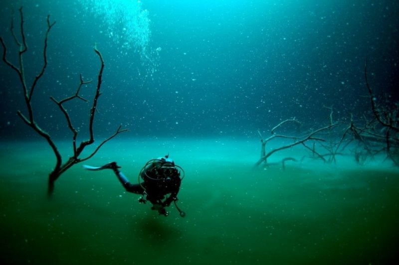 Вид из под воды