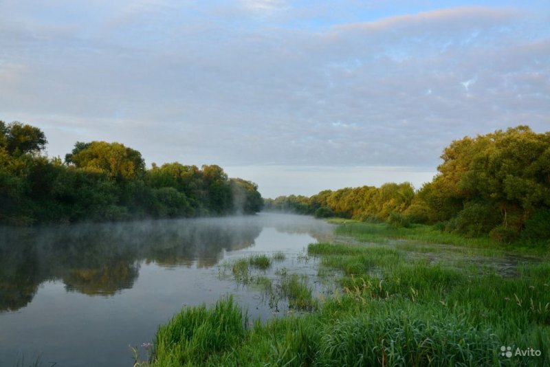 Река Проня в Белоруссии