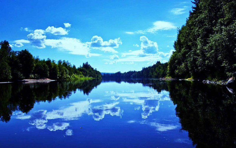 Озеро Лесное Сестрорецк