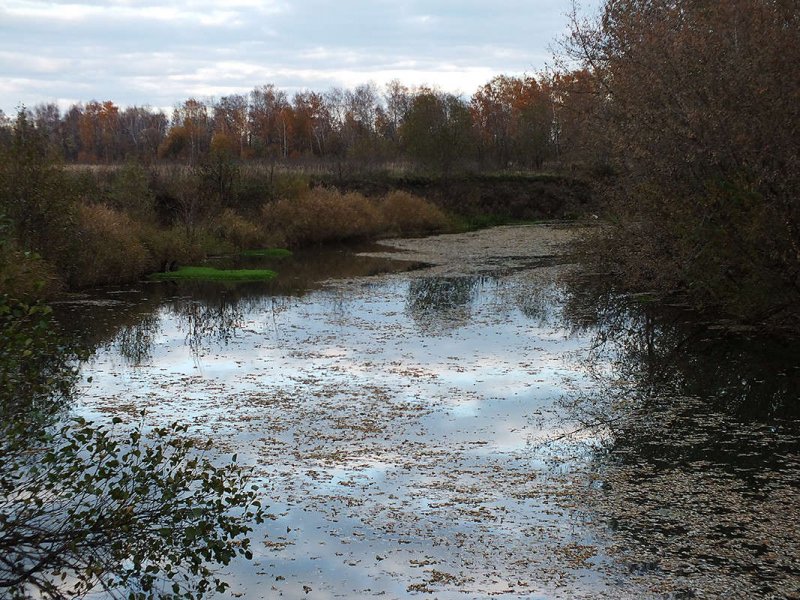 Река Хупта Рязанская