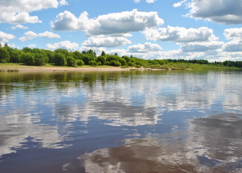 Река Ветлуга Нижегородская область