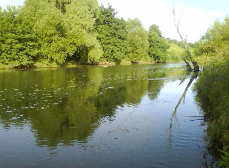 Приток реки Проня в Рязанской области