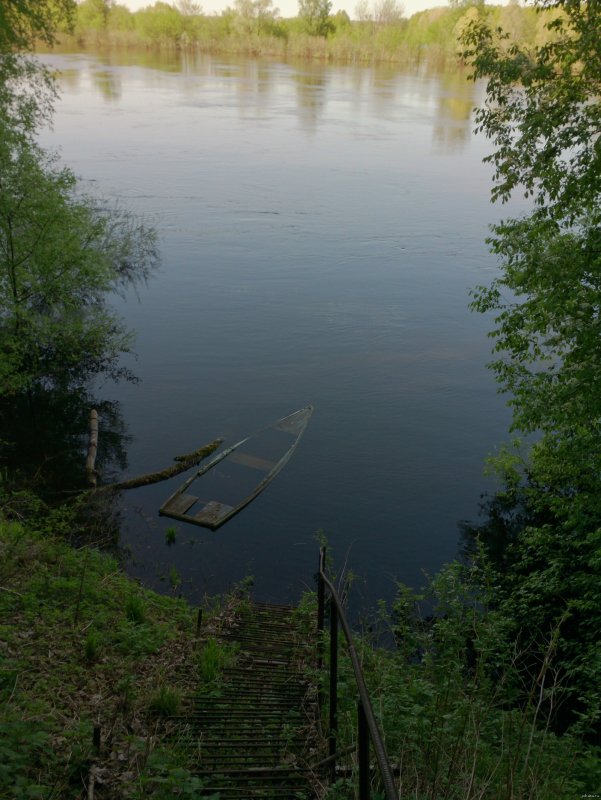 Река Ветлуга Воскресенское