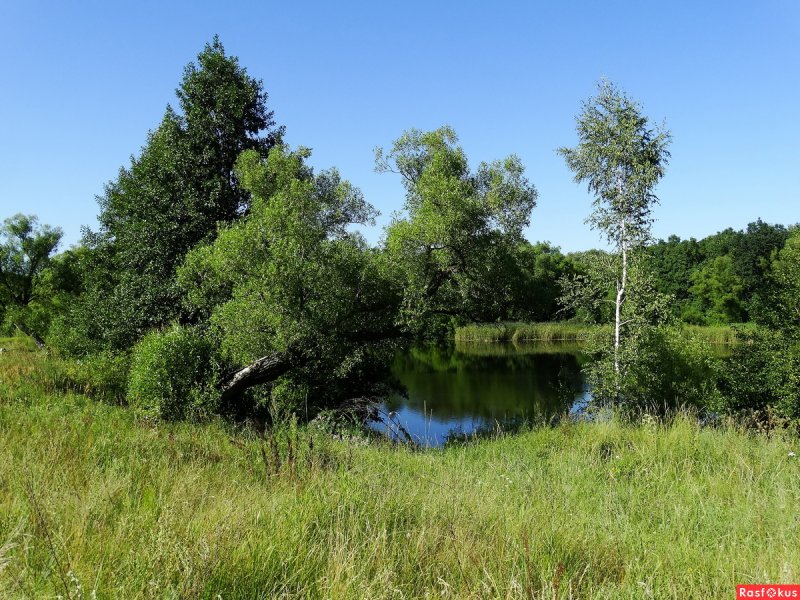 Река Ранова Рязанской области 2021 г