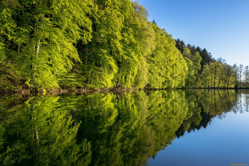 Природа лес речка