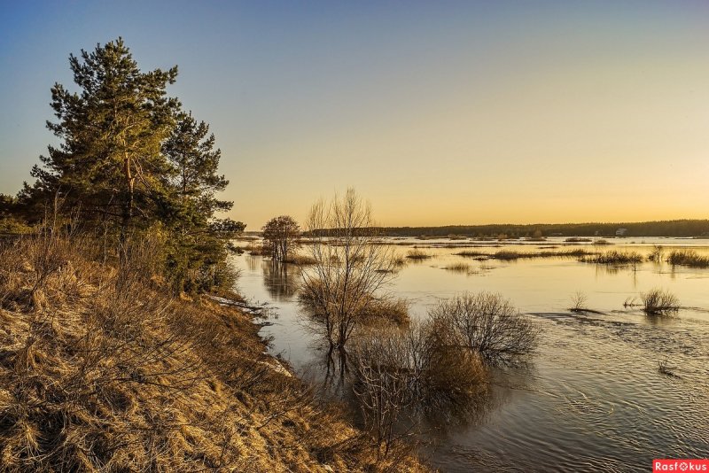 Разлив реки Усманка в Репном