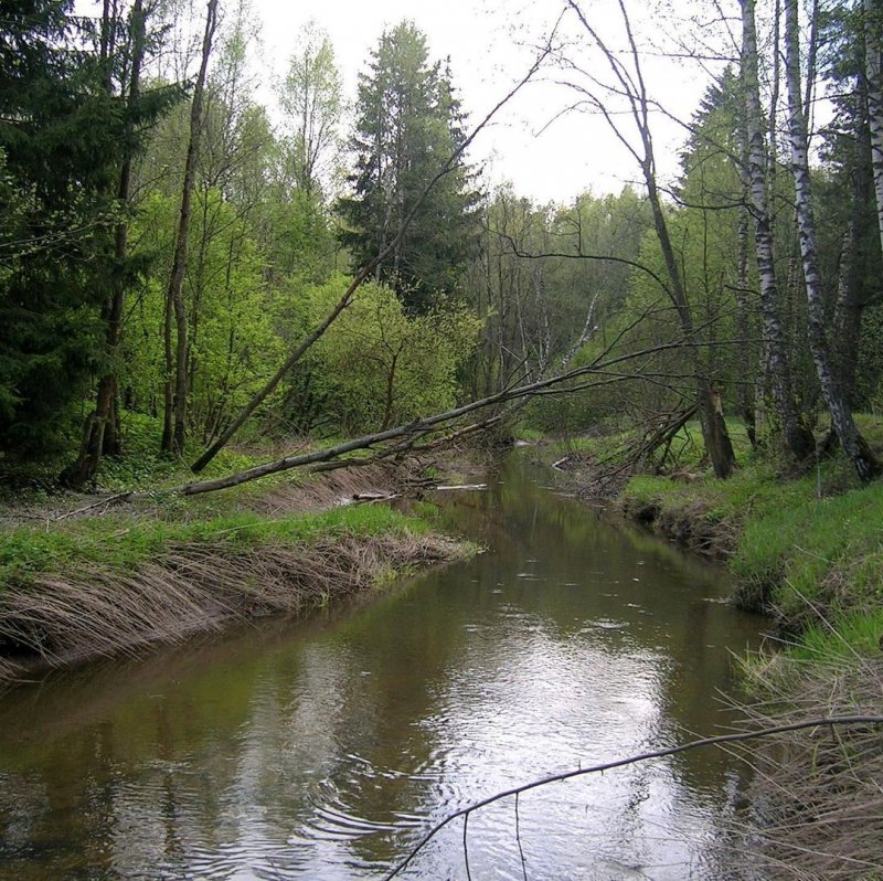 Река Скалба Ивантеевка