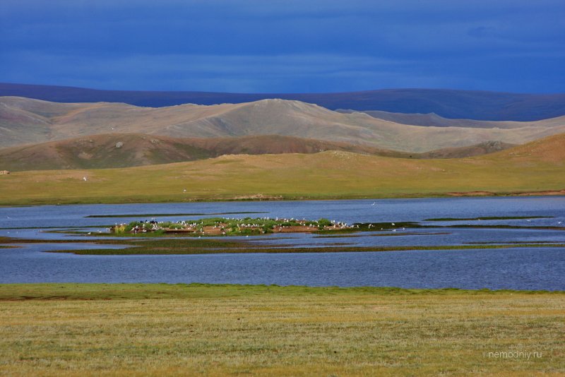 Гоби раскинулась в Монголии