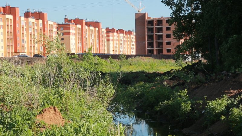 Река Вихра в Смоленской области фото