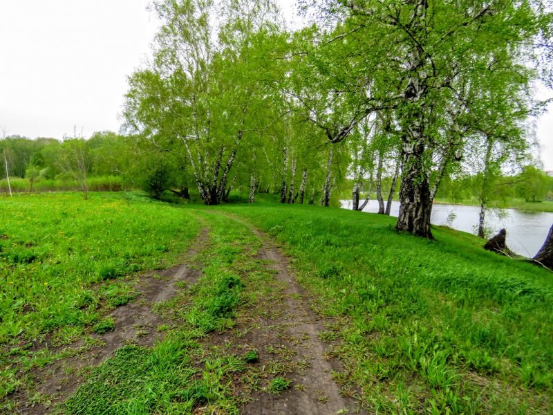 Река Ольшанка Пушкинский район