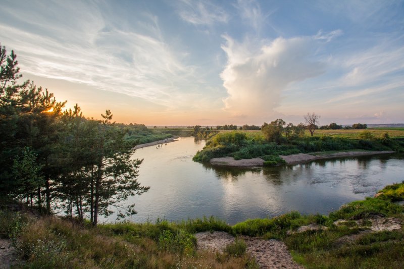 Река Ока Алексин