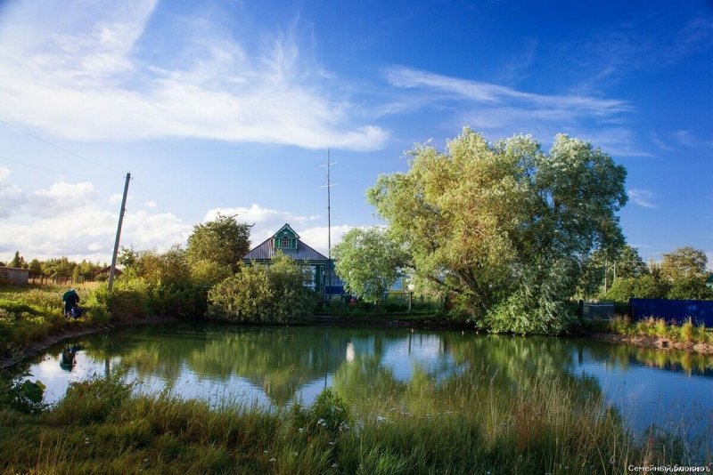 Сельский пруд деревня Торбеево