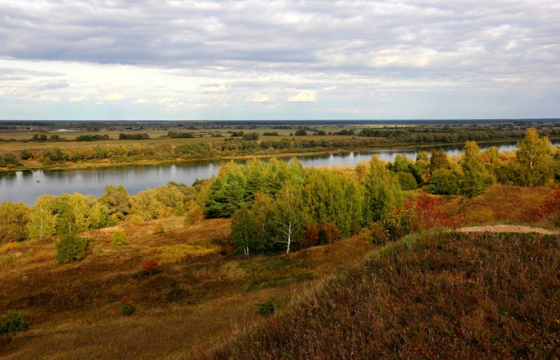 Рязанская область берег реки Оки
