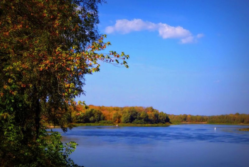 Река Ока в Рязани