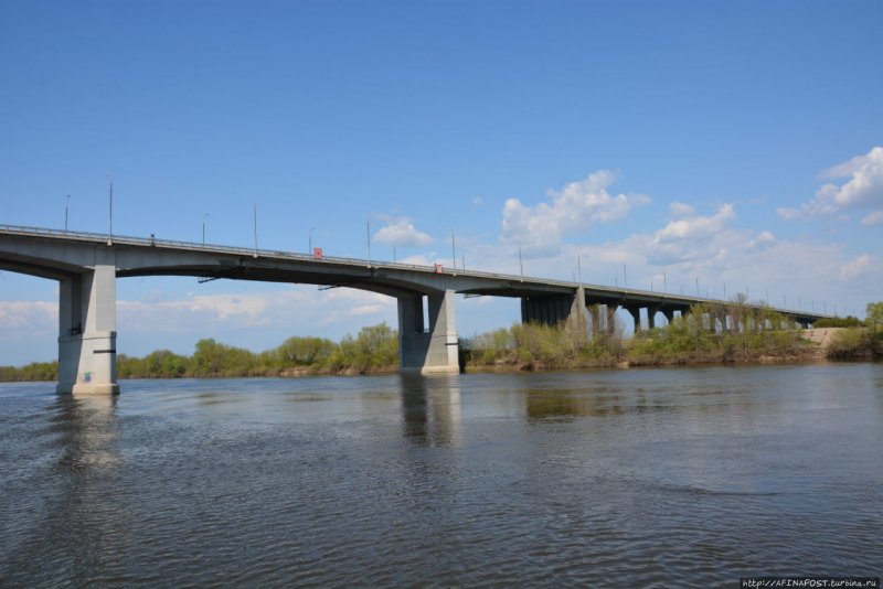 Дунайчик река Рязань фото