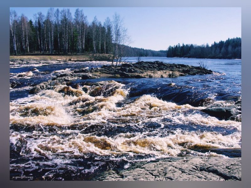 Река Шуя Петрозаводск