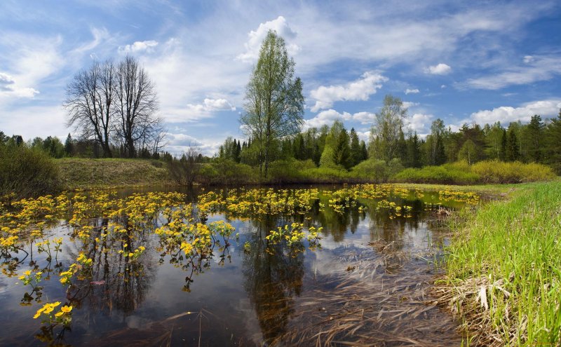 Природа России весной