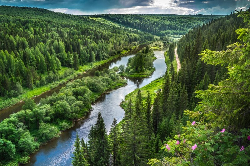 Река Койва Пермский край