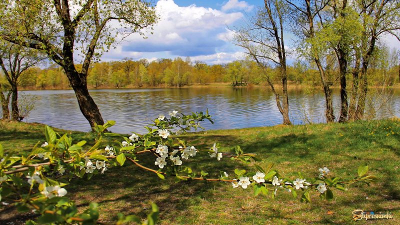 Природа Весна река