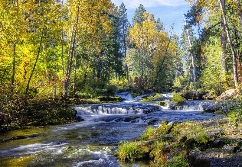 Природа ручей лес Россия