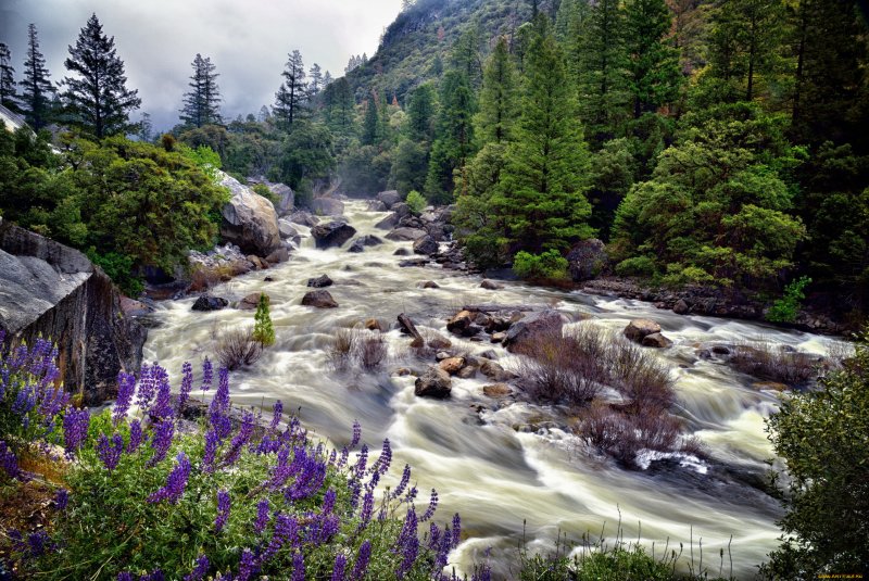 Природа горы камни река цветы