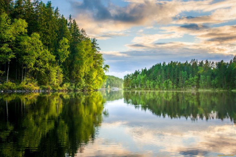 Леса озера и реки Псковской области-