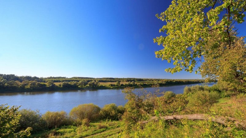 Разлив реки Ока Алексин