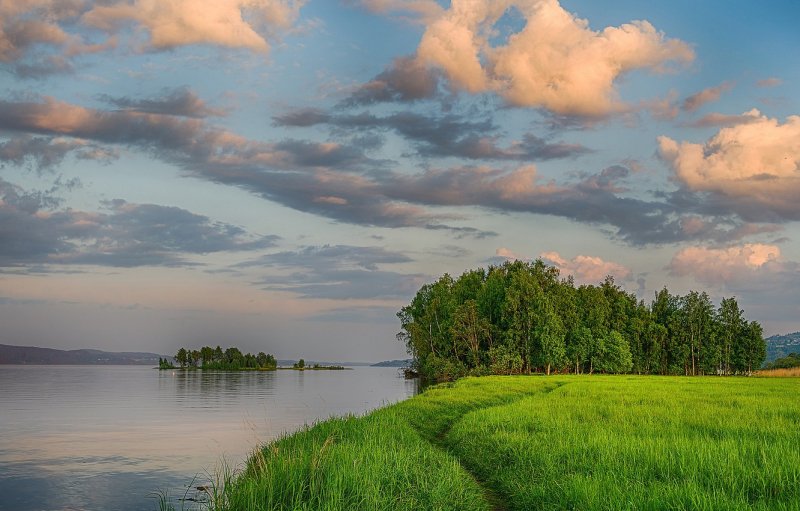 Волга река лес