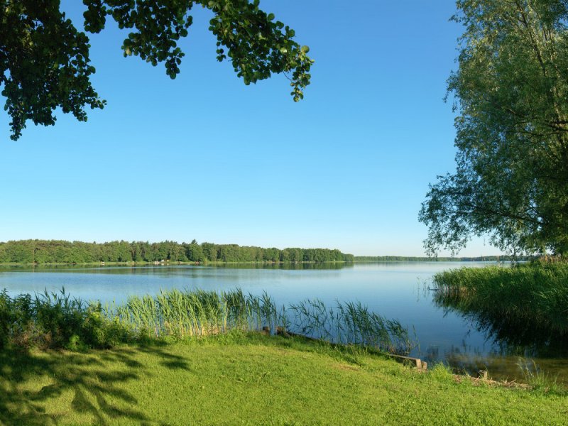 Озеро в Надеждино Омск