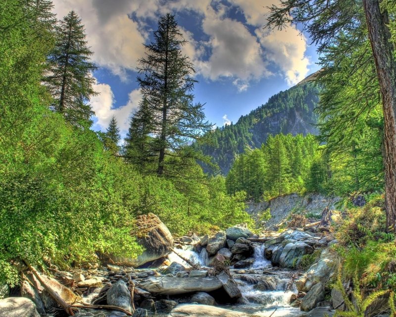 Анимированные картинки все ручьи, леса и горы