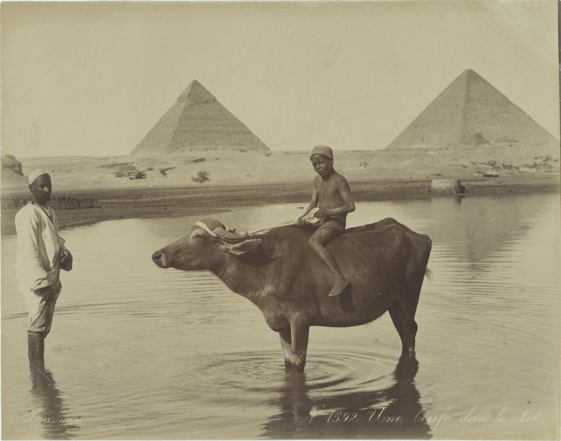 Египет Нил 1899г