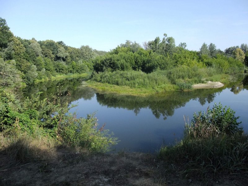 Река псёл село Череново
