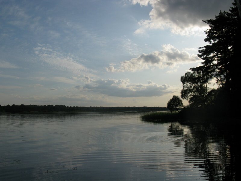 Река Медведица Тверская область рыбалка