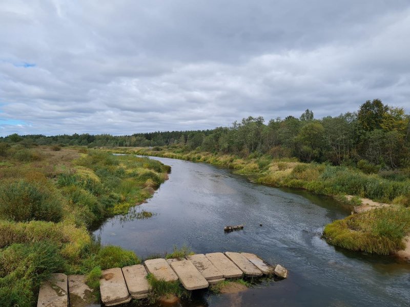 Кемпинг река Медведица Тверская область