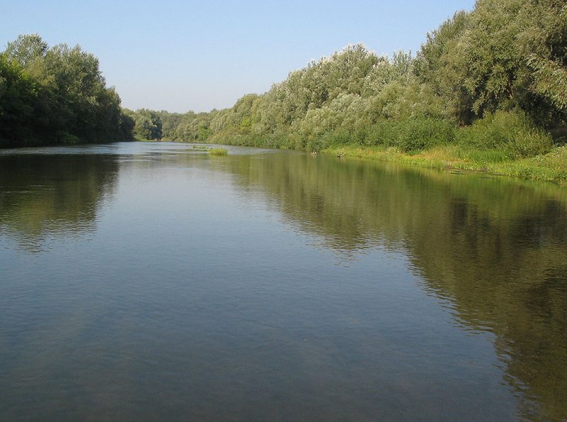 Исток реки Псел Курская область