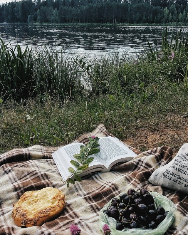 Пикник на берегу озера