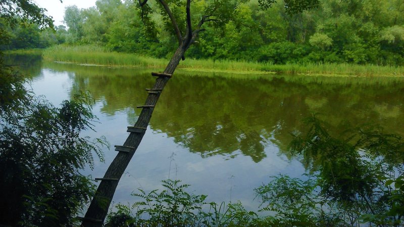 Река псёл Украина