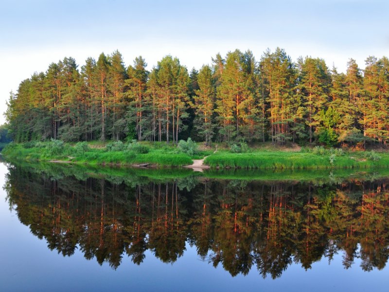 Озеро Медведица Тверская область
