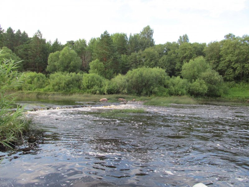 Река Медведица Рамешковский район