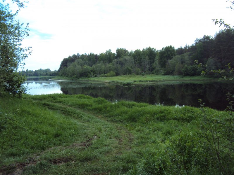 Река Медведица Кимрский район рыбалка