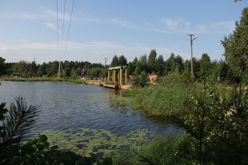 Река Оредеж Волосовский