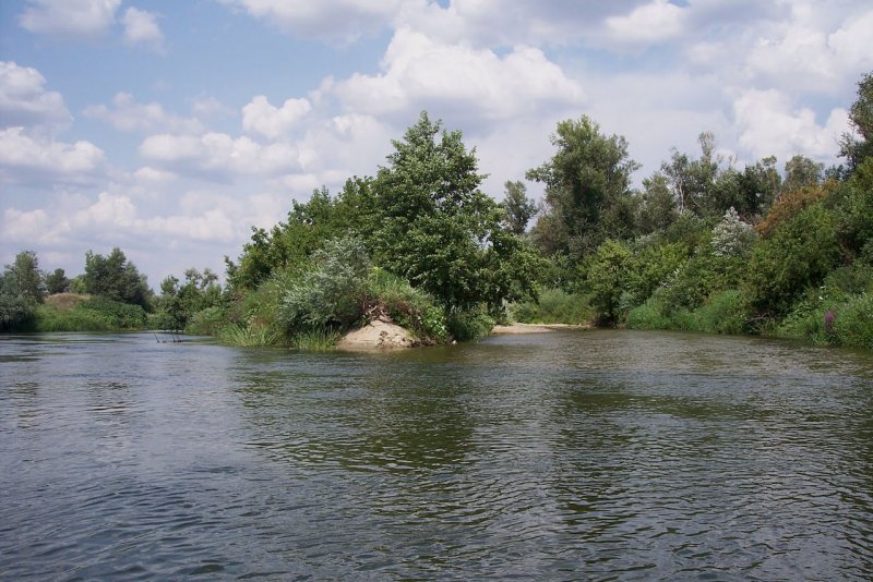 Река Медведица Кашинский район