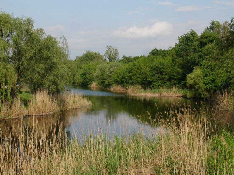 Река псёл Михайловка