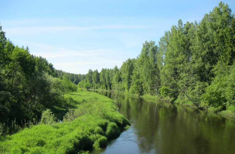 Река Торопа Тверская область