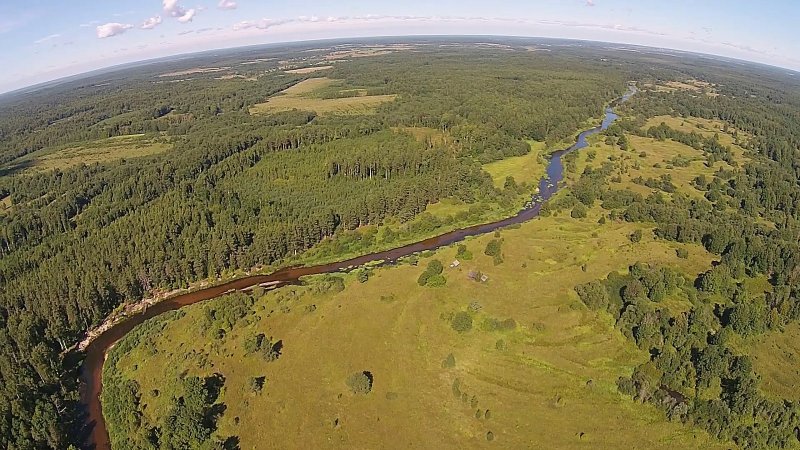 Река Медведица Тверская область Рамешковский район