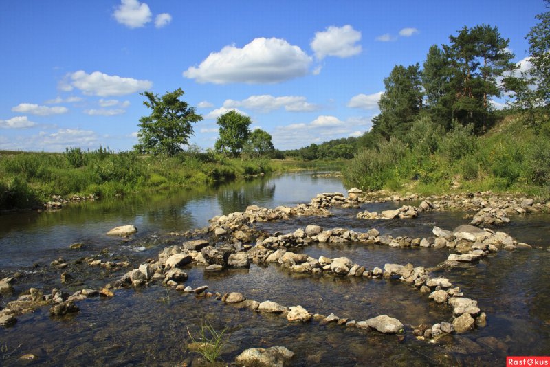 Река Старица Тверская область