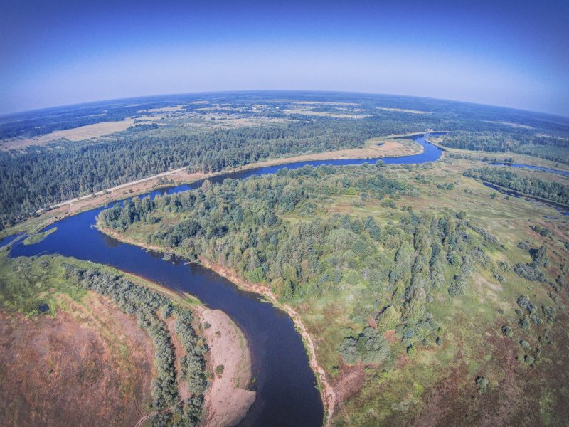 Река Молога Тверская