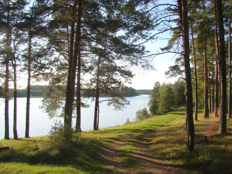 Озеро Левашовское Тверская область